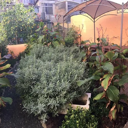 带花园复古公寓|普林西比酒店|里斯本